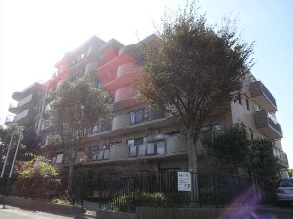 Local appearance photo. Local (11 May 2013) Shooting