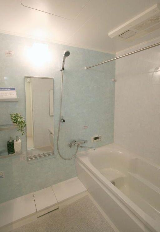 Bathroom. Indoor (11 May 2013) Shooting