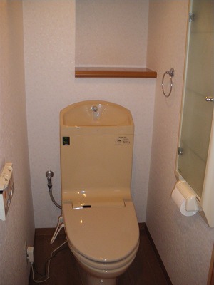 Toilet. Washlet & storage!