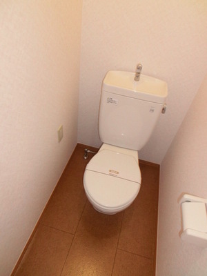 Toilet. Bidet can be installed