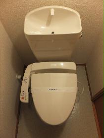 Toilet. Warm water washing toilet seat