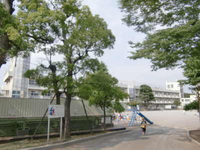 Primary school. Mom to elementary school (elementary school) 593m