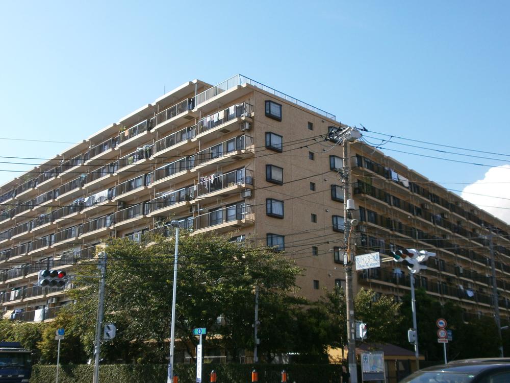 Local appearance photo. Local (July 2013) Shooting