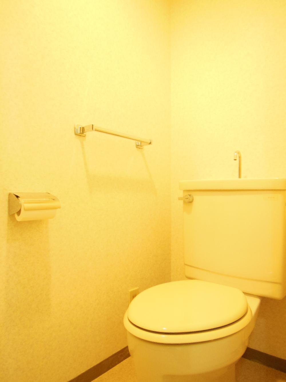 Toilet. Indoor (June 2013) Shooting