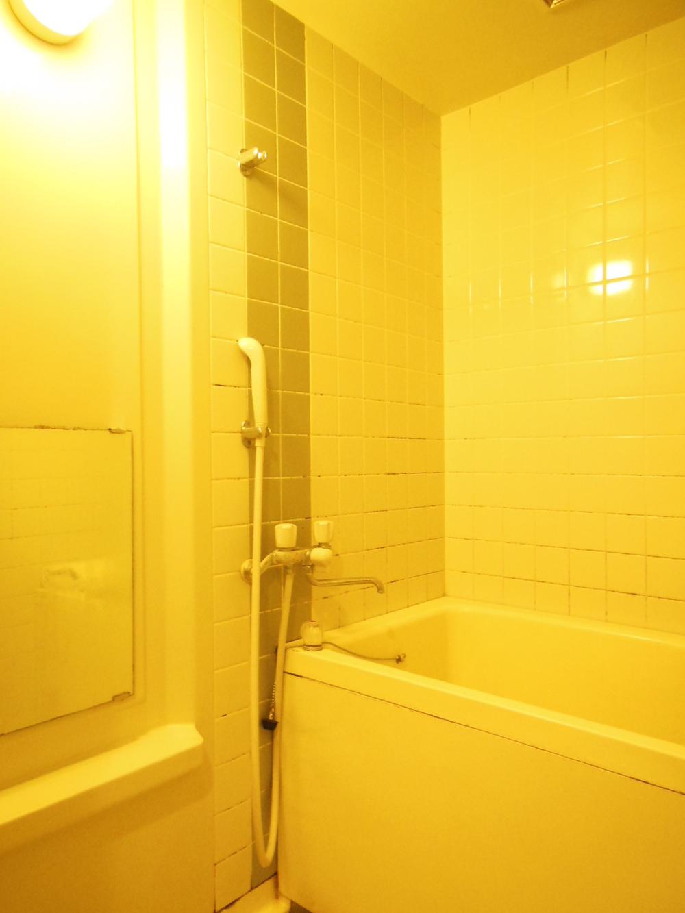 Bathroom. Indoor (June 2013) Shooting