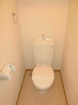 Toilet. It is a toilet with a clean.