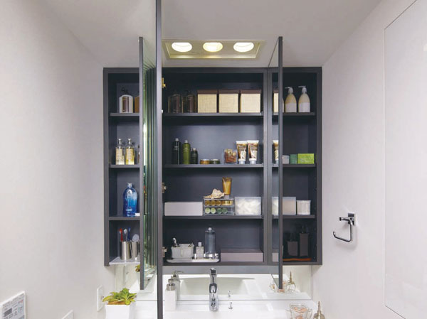 Bathing-wash room.  [Three-sided mirror back storage] Adjustable shelves housing the tissue box was secured just fits depth.