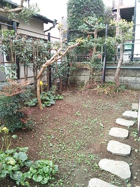 Garden. Local (11 May 2013) Shooting
