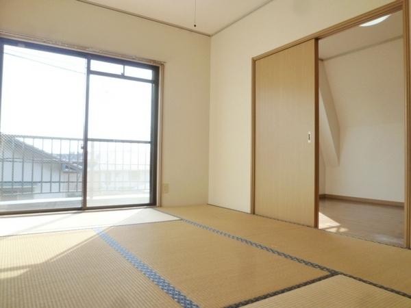 Other room space. Bright calm Japanese-style room