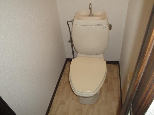 Toilet. It will overflow cleanliness