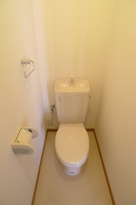 Toilet. Toilet