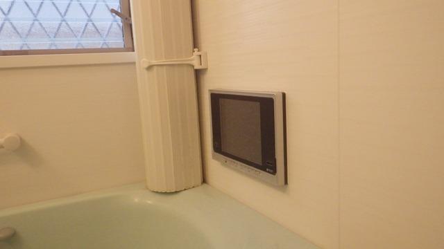 Bathroom. Digital broadcasting in the bathroom TV