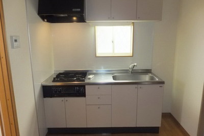 Kitchen. Two-neck system Gasukitchin