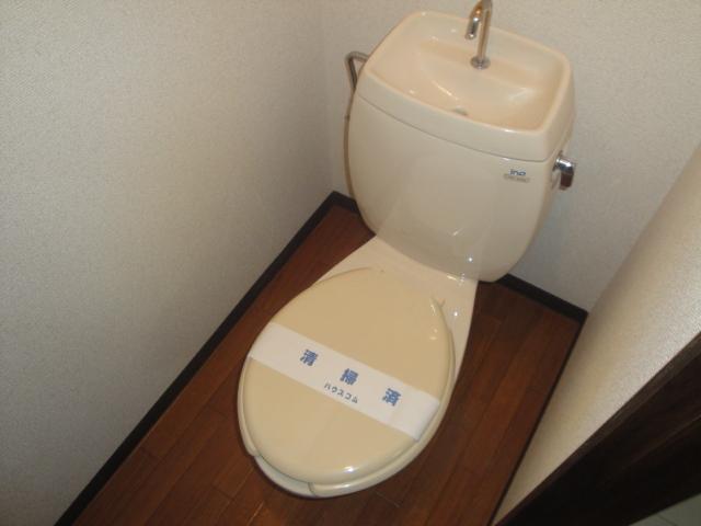 Toilet. It is very a clean toilet.