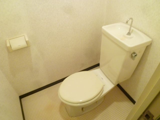 Toilet. Western-style toilet, Yes Power