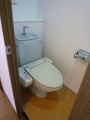 Toilet. Toilet with hot water cleaning toilet seat