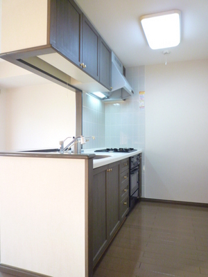 Kitchen. Three-necked gas stove, System kitchen with a grill