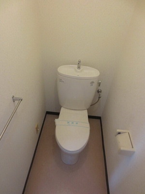 Toilet. Toilet