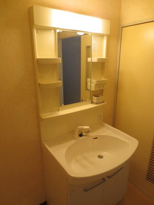 Washroom. With shampoo dresser