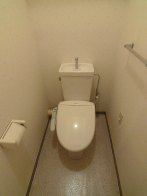 Toilet. Toilet