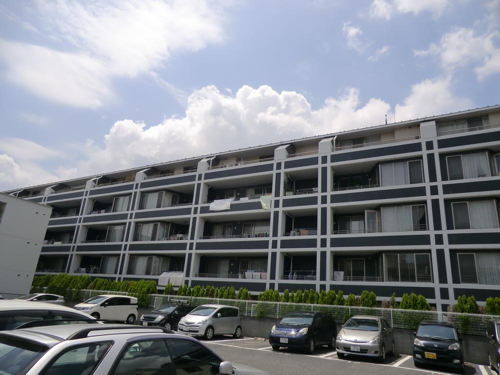 Local appearance photo. Local (June 2013)