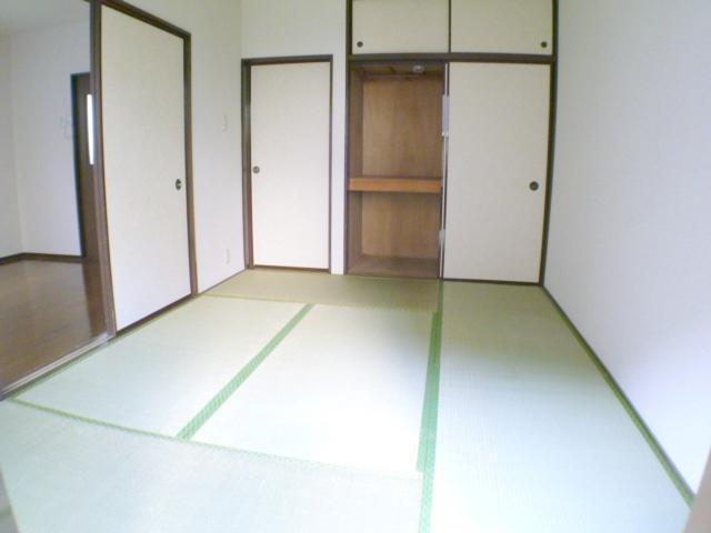 Living and room. It is with storage of the Japanese-style closet.