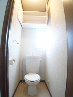 Toilet. You can firmly be accommodated with a cubby in bright toilet with a window. 