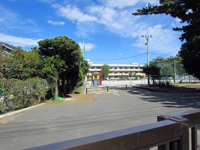 Primary school. 330m up to municipal butterbur Island Elementary School (elementary school)