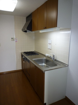 Kitchen. System kitchen