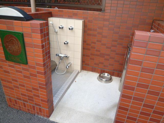 Other Equipment. Common area pet foot washing place