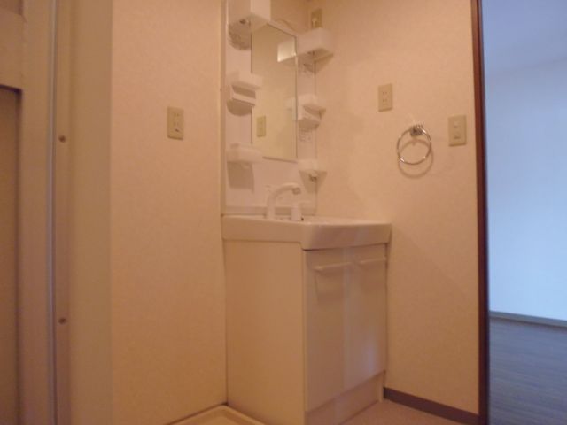 Washroom. Bathroom vanity