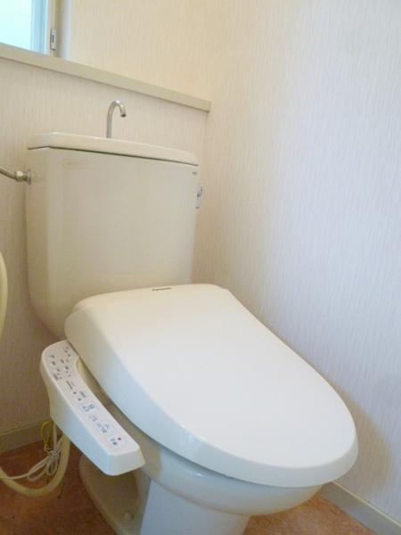 Toilet. Happy with Washlet with