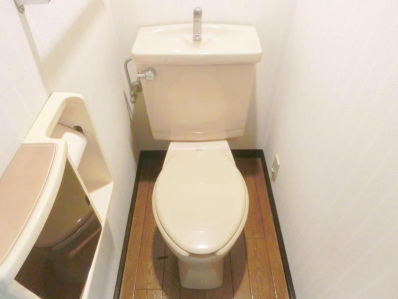 Toilet. Toilet is the lucky of storage space.