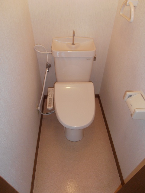 Toilet. With cleaning toilet seat