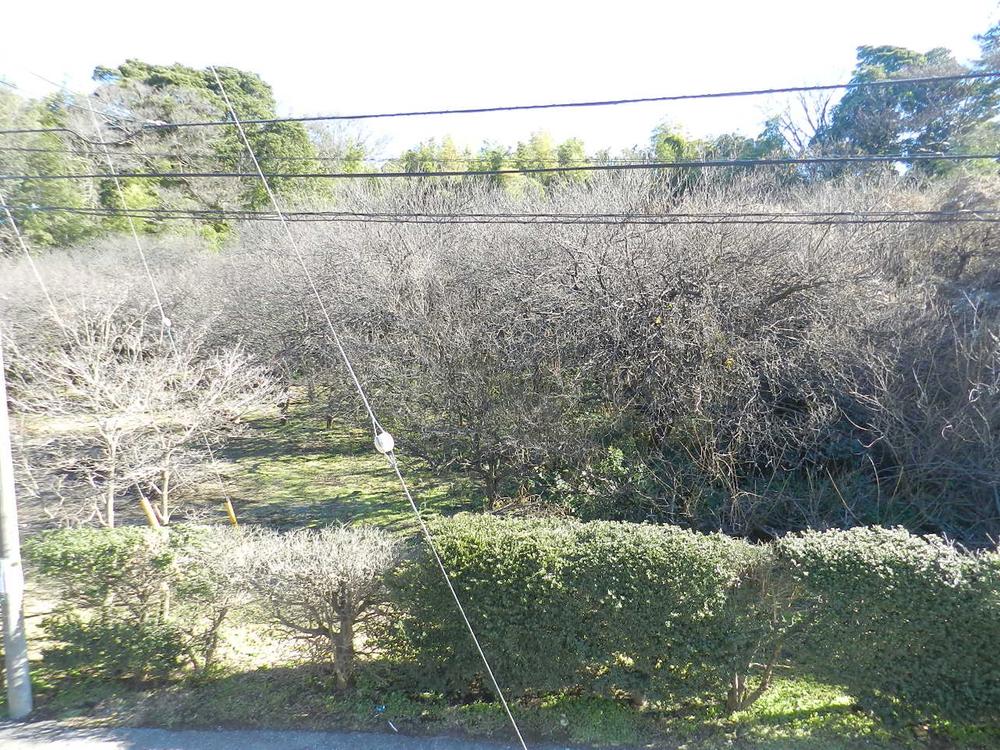 View photos from the dwelling unit. View from the site (December 2013) Shooting