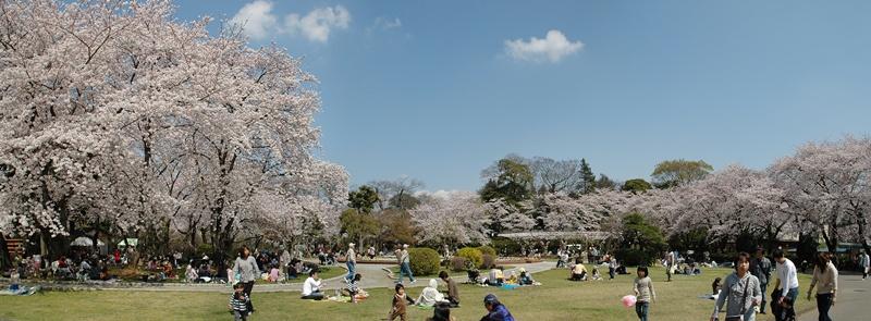 park. 1082m to Satomi park