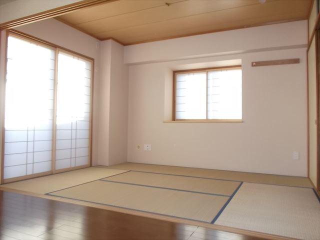 Other introspection. Local (11 May 2013) Shooting