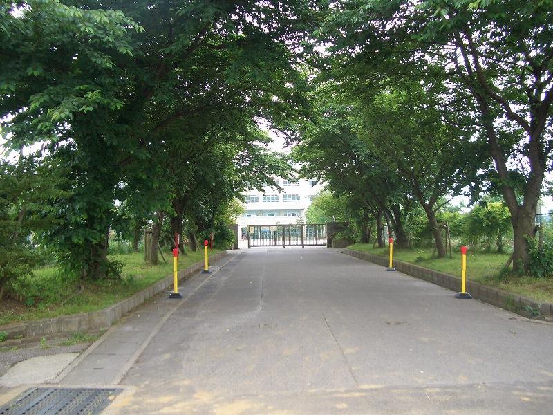 Primary school. 822m until lily stand elementary school
