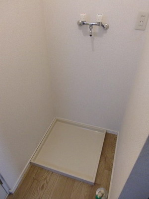 Washroom. Is Indoor Laundry Area. 