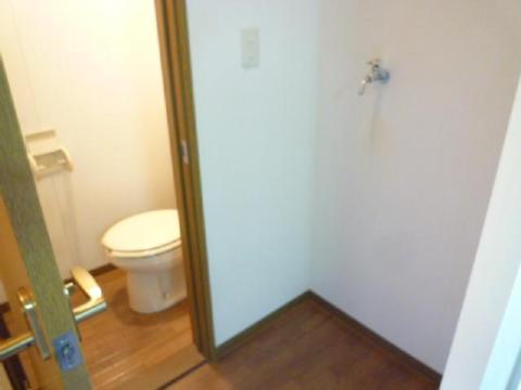 Other room space. There is a washing machine yard to the toilet next to.