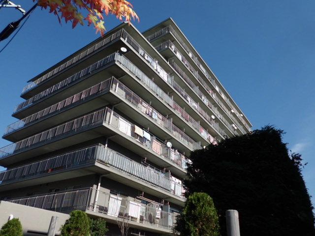 Local appearance photo. Local (11 May 2013) Shooting