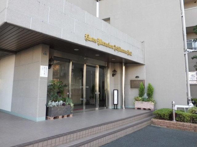 Entrance. Common areas