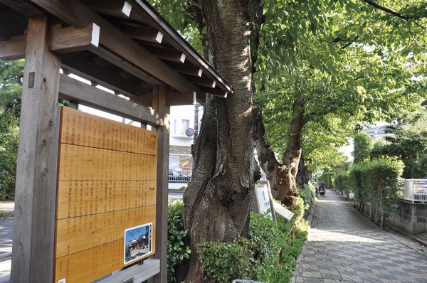 Sakura bank park (road of literature) (about 390m / A 5-minute walk)