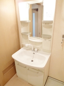 Washroom. Basin is also convenient with a shower