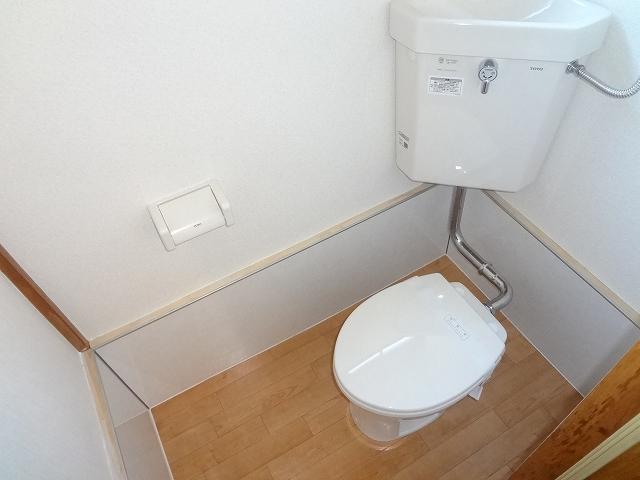 Toilet. Toilet was also replaced with a Western-style