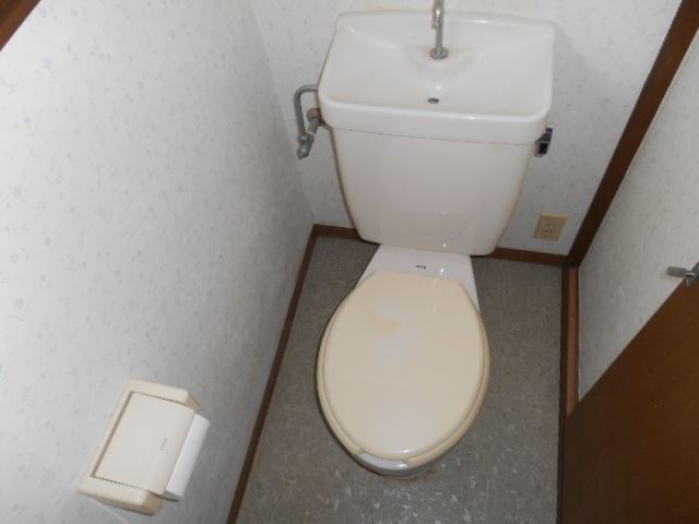 Toilet. Beautiful toilet