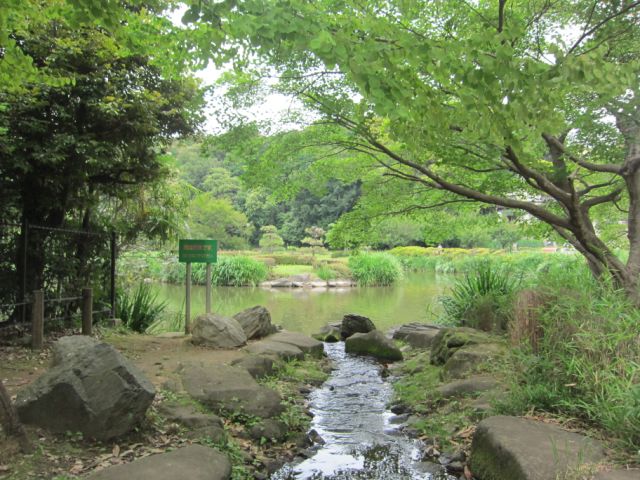 park. Water shield pond park until the (park) 870m