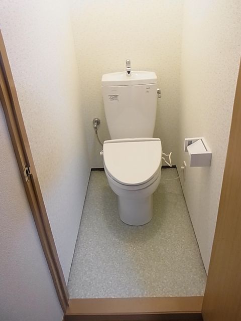 Toilet. With warm water washing toilet seat