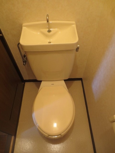 Toilet. Toilet with cleanliness.