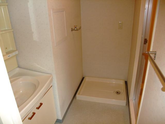 Other. This washing machine storage and wash basin.